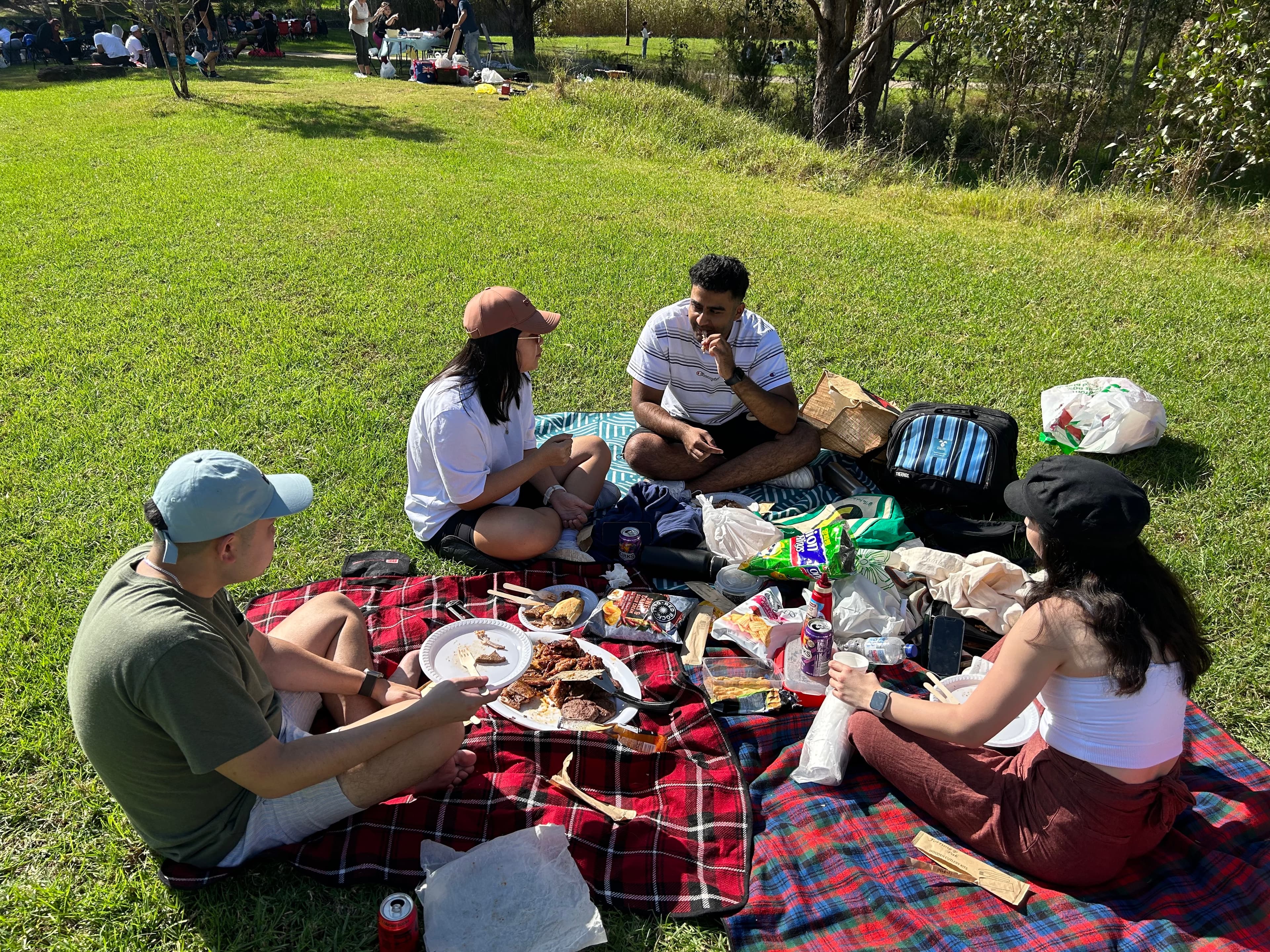 Photo - picnic 4032 × 3024.jpeg